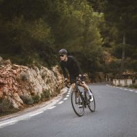 Naočare FORCE MANTRA zlatna, crna mirror stakla