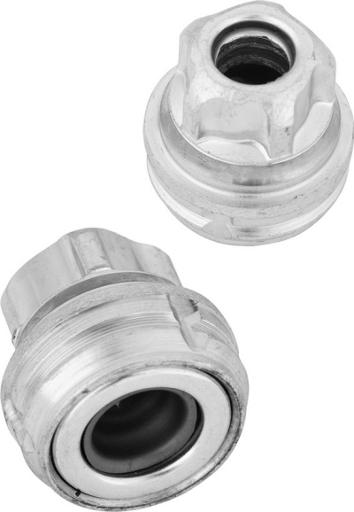 *PETOKRAKA GOLA OBIČNA ČEŠKA